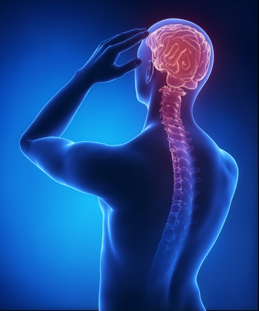 Нейроиммунологические механизмы развития головной боли