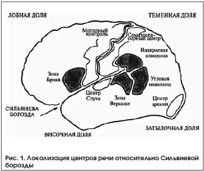 Инфаркт мозга в бассейне левой средней мозговой артерии прогноз thumbnail